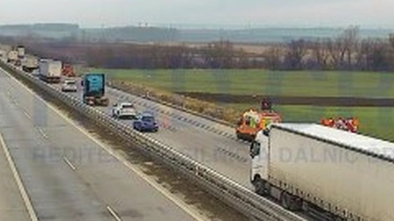 Pět divočáků překvapilo řidiče na D2 nedaleko Brna, srážka komplikuje dopravu